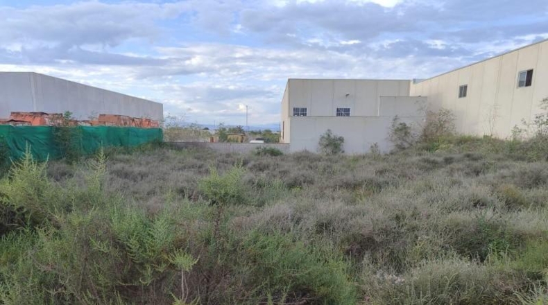 Castellón - Benicarló - 1167m2