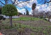 Xalet independent amb terreny en venda a la España, Lucena, ref.: TR243234 foto