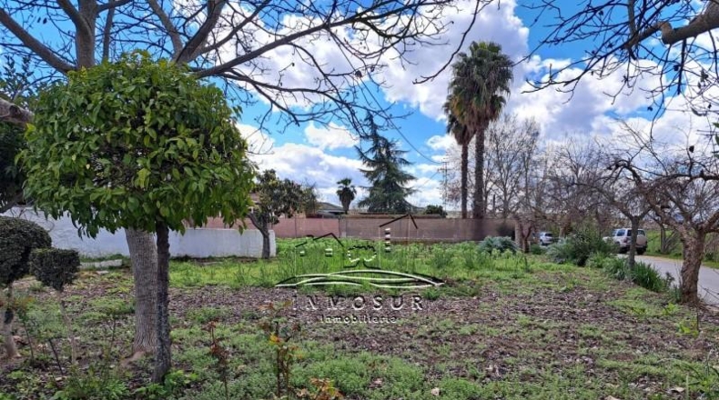Córdoba - Lucena - 907m2