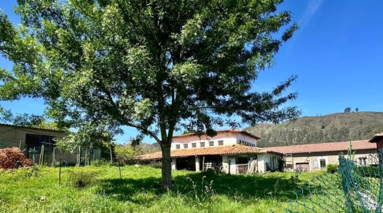 Астурия - Ribadesella - 1271m2
