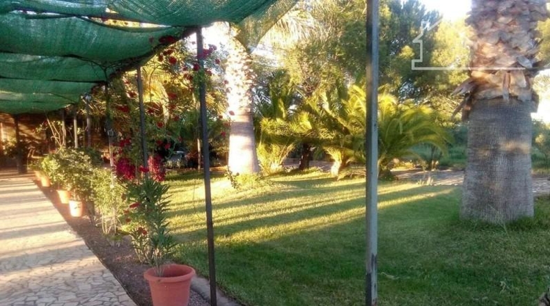 Badajoz - Badajoz - 5000m2