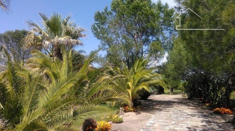 Badajoz - Badajoz - 5000m2