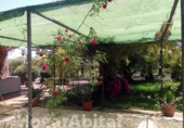 Xalet independent amb terreny en venda a la España, Badajoz, ref.: TR343984 foto