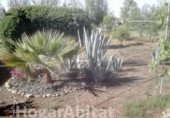 Xalet independent amb terreny en venda a la España, Badajoz, ref.: TR343984 foto