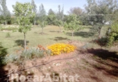 Xalet independent amb terreny en venda a la España, Badajoz, ref.: TR343984 foto