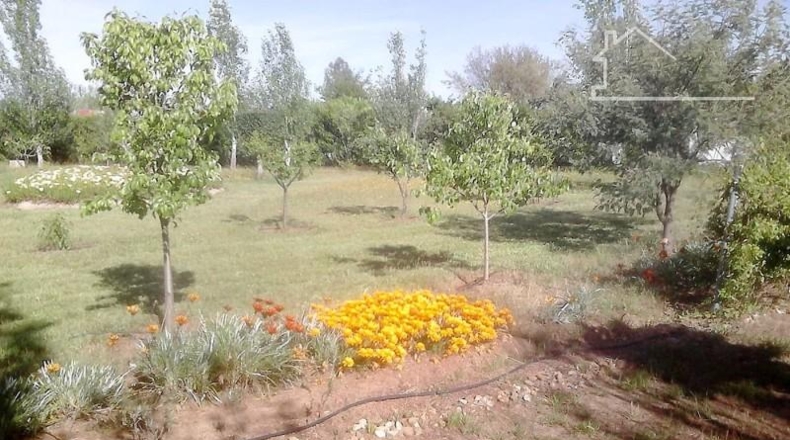 Badajoz - Badajoz - 5000m2