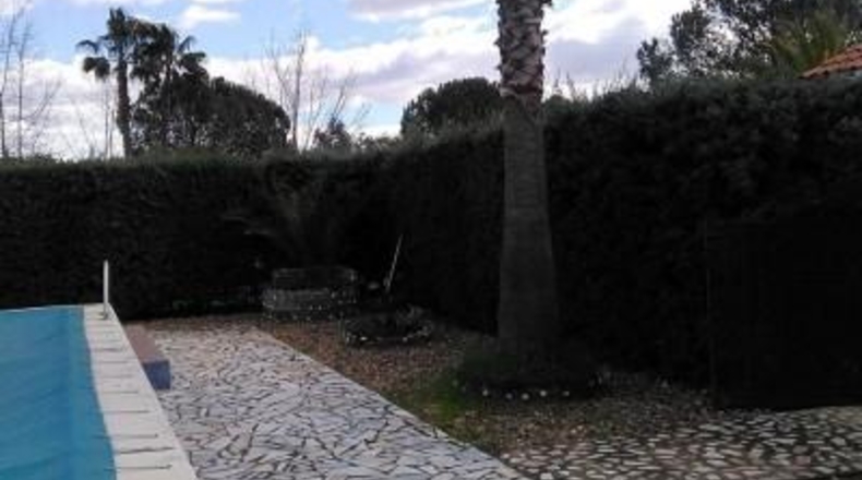 Badajoz - Badajoz - 5000m2