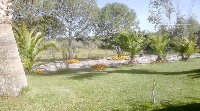 Badajoz - Badajoz - 5000m2