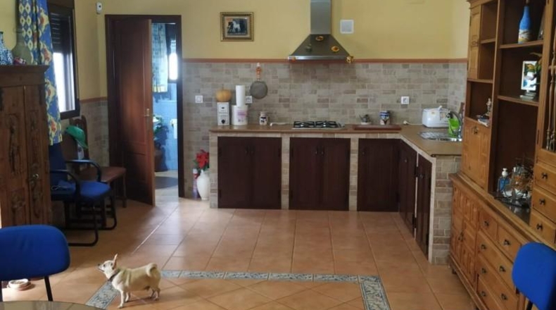 Córdoba - Córdoba - 750m2