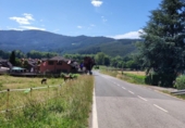 Parcel·la urbanitzable en venda a la España, Rioseco, ref.: TR124725 foto