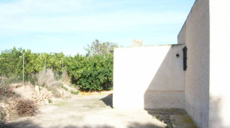 Alicante - Crevillente - 7500m2