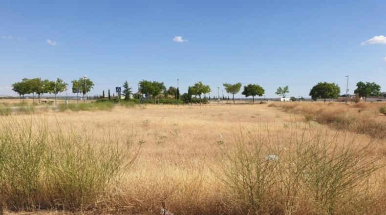 Ciudad Real - Tomelloso - 819m2
