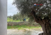 Casa de camp amb terreny en venda a la España, Jerez de los Caballeros, ref.: TR377441 foto