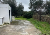 Casa de camp amb terreny en venda a la España, Jerez de los Caballeros, ref.: TR377441 foto
