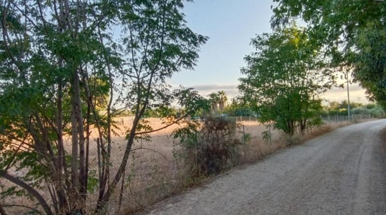 Murcia - Molina de Segura - 4300m2