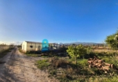 Casa de camp amb terreny en venda a la España, Fuente Álamo, ref.: TR359201 foto