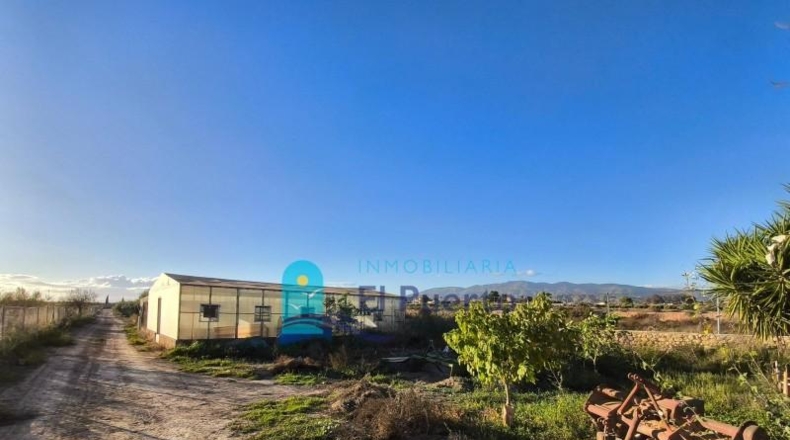 Murcia - Fuente Álamo de Murcia - 8791m2