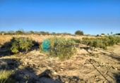 Casa de camp amb terreny en venda a la España, Fuente Álamo, ref.: TR359201 foto