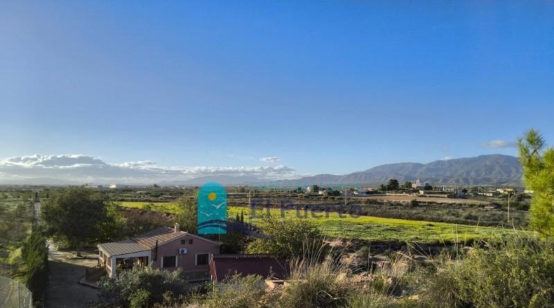 Murcia - Fuente Álamo de Murcia - 8791m2