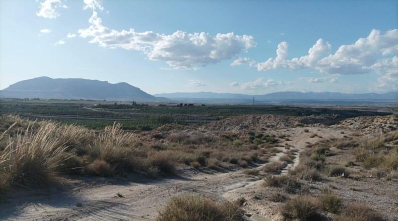 Granada - Baza - 88479m2
