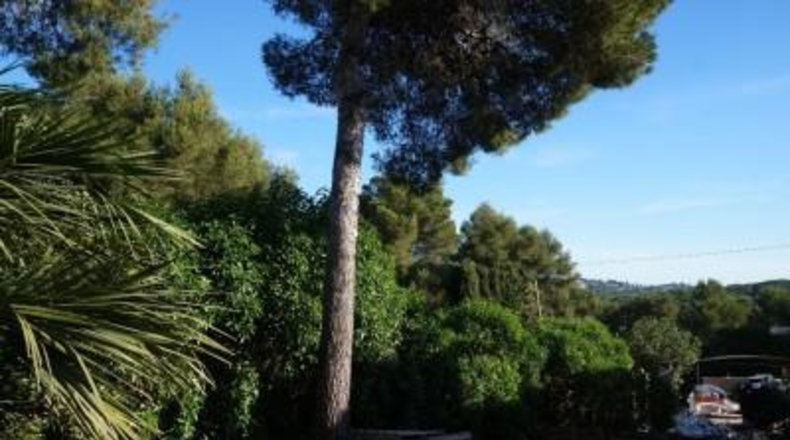 Alicante - Jávea - 4962m2