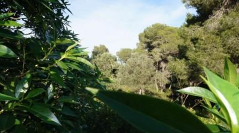 Alicante - Jávea - 4962m2