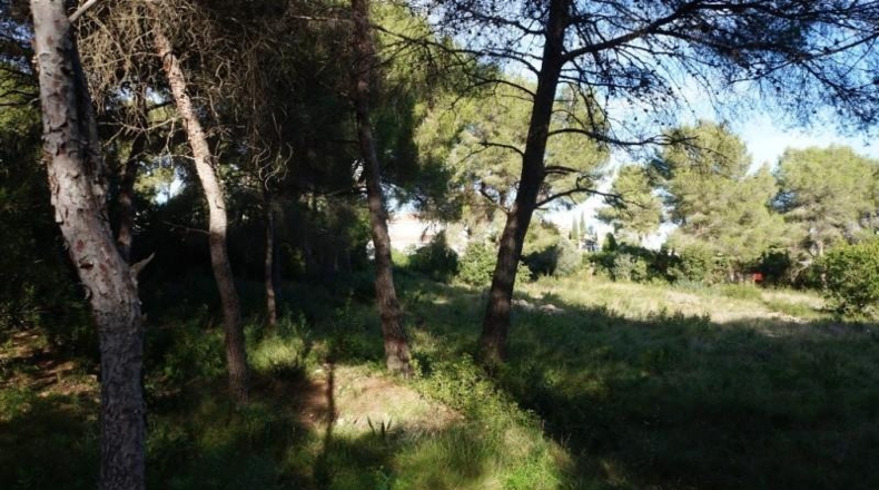 Alicante - Jávea - 4962m2