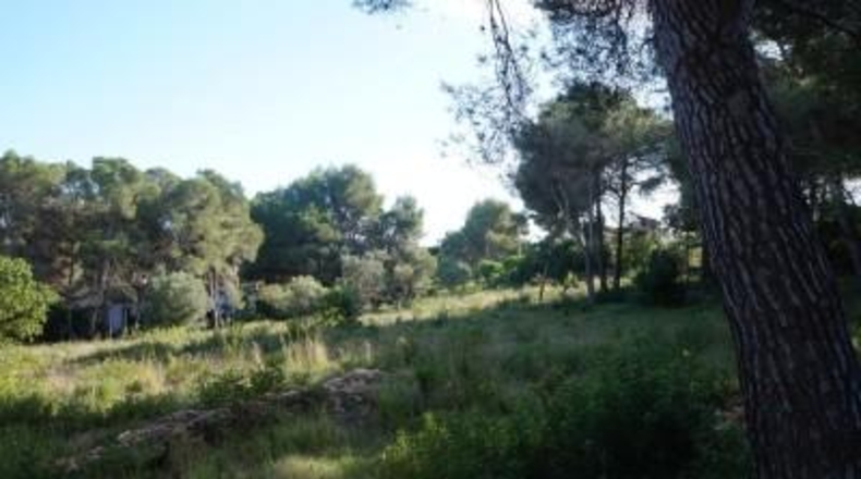 Alicante - Jávea - 4962m2