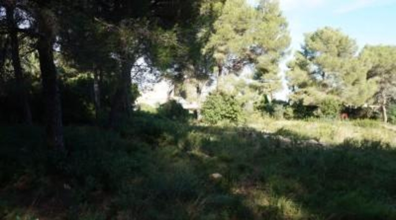 Alicante - Jávea - 4962m2