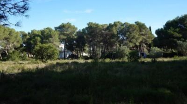 Alicante - Jávea - 4962m2