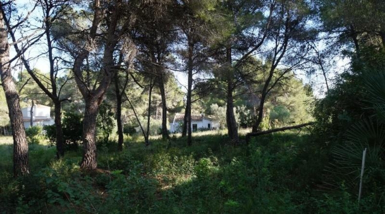 Alicante - Jávea - 4962m2