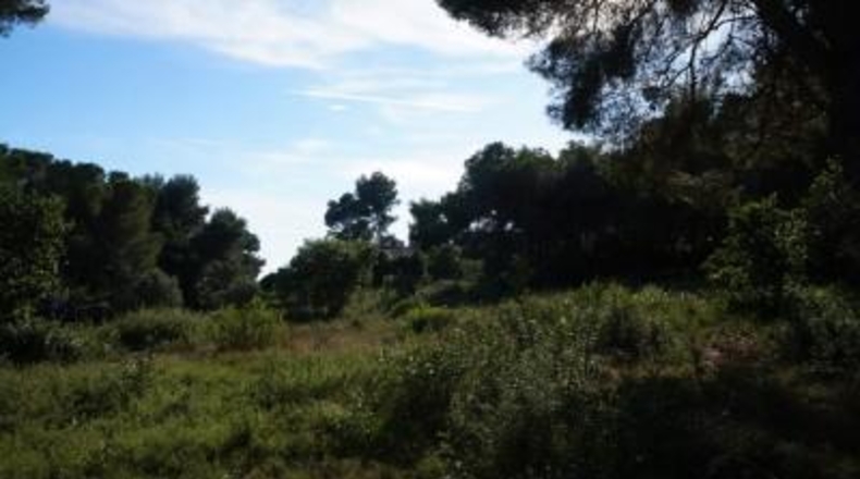 Alicante - Jávea - 4962m2
