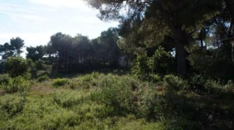 Alicante - Jávea - 4962m2