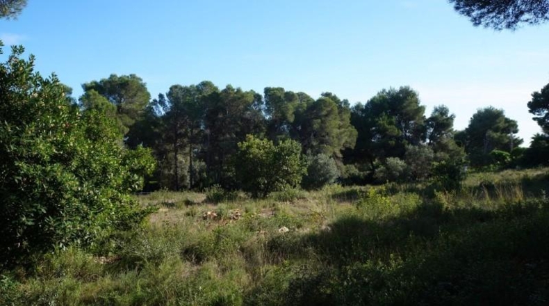 Alicante - Jávea - 4962m2
