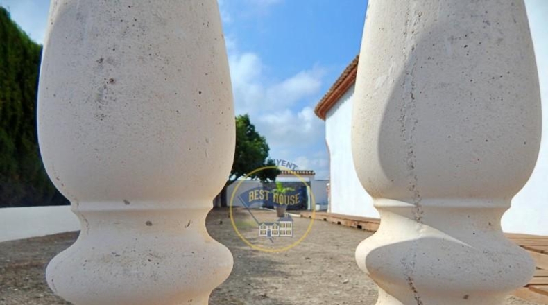 Valencia - Luchente - 1035m2
