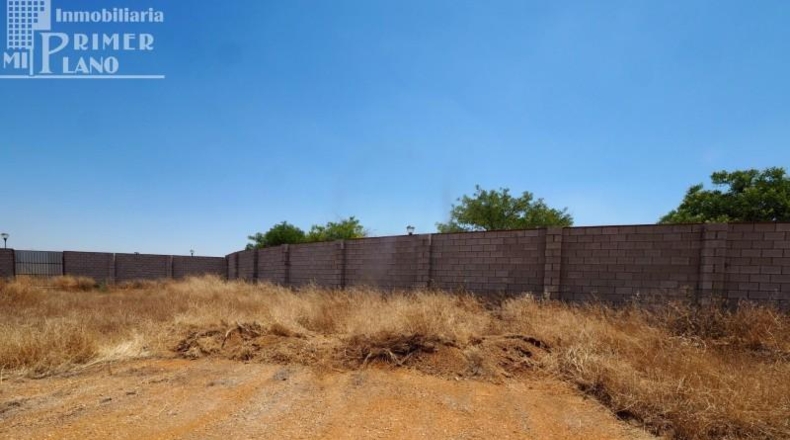 Ciudad Real - Tomelloso - 350m2