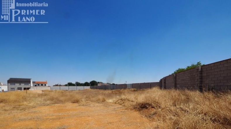 Ciudad Real - Tomelloso - 350m2