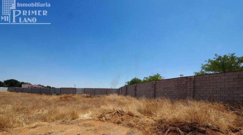 Ciudad Real - Tomelloso - 350m2