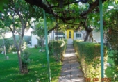 Casa de camp amb terreny en venda a la España, El Molar, ref.: TR255250 foto