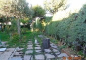 Casa de camp amb terreny en venda a la España, El Molar, ref.: TR255250 foto