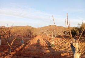 Puerto Lumbreras 662000&nbsp;m²