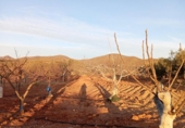 Casa de campo con terreno en venta en la España, Puerto Lumbreras, ref: TR154484 foto