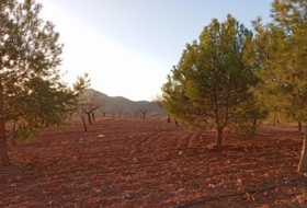 Puerto Lumbreras 662000&nbsp;m²