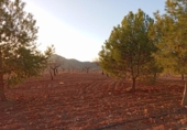 Casa de campo con terreno en venta en la España, Puerto Lumbreras, ref: TR154484 foto