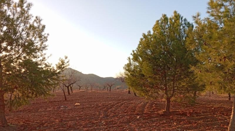 Murcia - Puerto Lumbreras - 662000m2