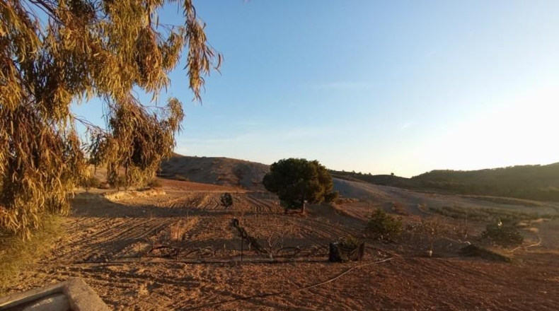 Murcia - Puerto Lumbreras - 662000m2
