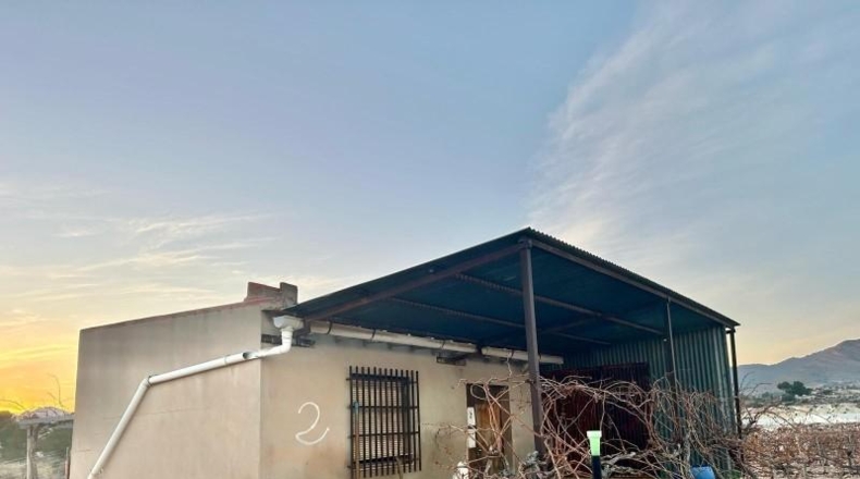 Alicante - Novelda - 38865m2