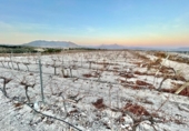 Non-developable land for sale on España, Novelda, ref: TR129081 photo