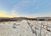 Non-developable land for sale on España, Novelda, ref: TR129081 photo
