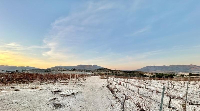 Alicante - Novelda - 38865m2
